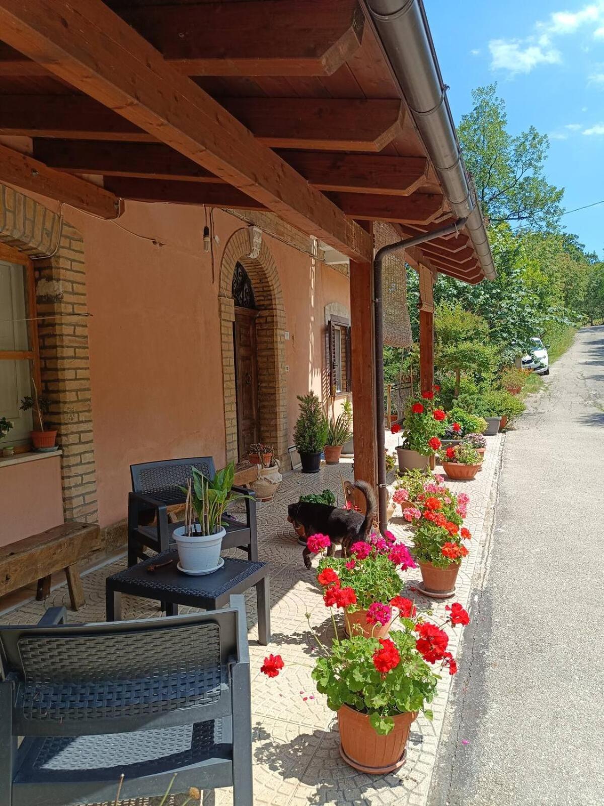 Alloggio Intero In Casa Contadina Nel Verde Ai Piedi Della Majella - Agricasa Caprafico Casoli  외부 사진